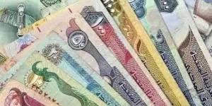 أسعار الدرهم الإماراتي مقابل الجنيه المصري اليوم الأحد 1 يونيو 2025