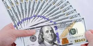أسعار الدولار مقابل الجنية المصري اليوم الأحد 1 يونيو 2025