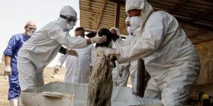 العراق يسجل 107 حالات إصابة بالحمى النزفية بينها 16 وفاة