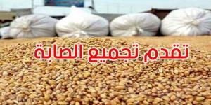 تقدّم موسم الحبوب: تجميع 1862.49 ألف قنطار إلى غاية 10 جوان 2025