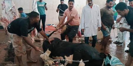 جهود مراقبة الأغذية وصحة البيئة بالبحرالأحمر 