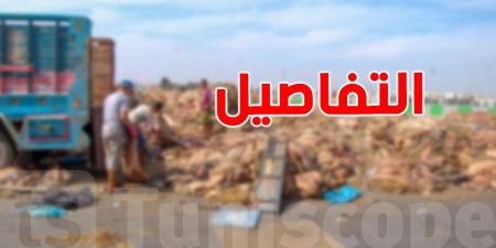 منوبة تثمن جلود الأضاحي: حملة بيئية واقتصادية لمجابهة التلوث في العيد