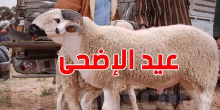 هل لاحظت''رعشة لحم العلوش'' بعد النحر؟ إليك التفسير العلمي والديني لهذه الظاهرة
