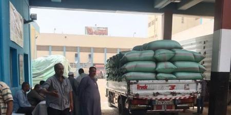 استمرار أعمال توريد القمح بالمنيا بتوريد 506 آلاف طن