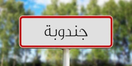جندوبة: انطلاق أشغال ملتقى "تونس الإيكولوجية"