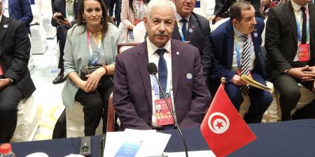 وزير التجارة يدعو الجانب الصيني لإتخاذ إجراءات تفاضلية لفائدة المنتوجات الإستراتيجية الإفريقية