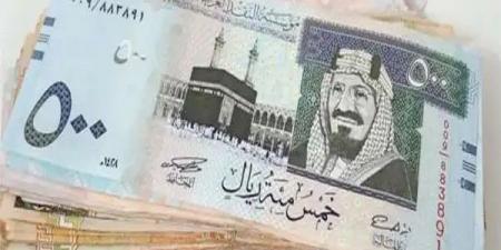 سعر الدولار مقابل الجنيه المصري اليوم الأحد 15-6-2025