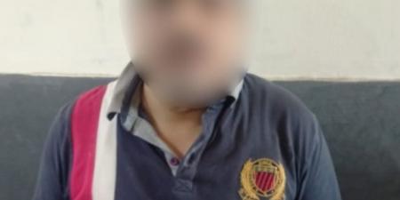 حقيقة تعدى أجنبى على كلب ضال ونفوقه بالقاهرة