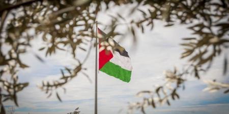 تأجيل المؤتمر الأممي بشأن حل الدولتين