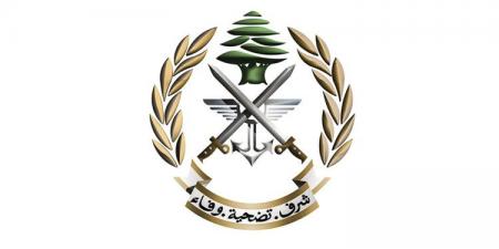 الجيش: ضبط كمية من الأسلحة والذخائر الحربية والمخدرات وتوقيف أشخاص لارتكابهم جرائم مختلفة