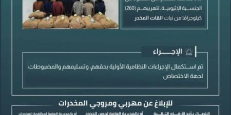 القبض على (13) مخالفًا لتهريبهم (260) كيلوجرامًا من نبات القات بجازان