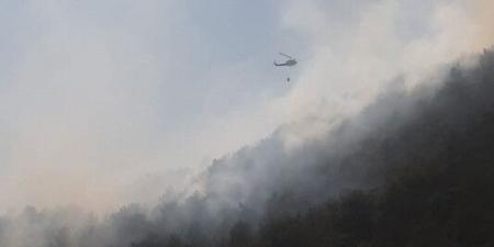 الجيش: إخماد حريقَين في منطقتَي بمهريه – عاليه ودير المخلّص – الشوف