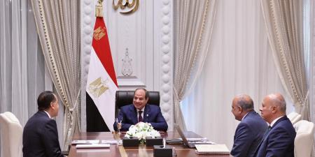 الرئيس السيسي يشدد على ضرورة توطين الصناعات المرتبطة بمشروعات الطاقة المتجددة