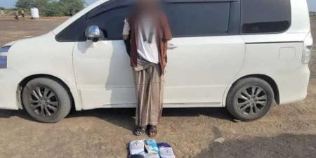 قوات الحزام الأمني الساحلي في أبين تضبط متهمًا بحيازة 5 كيلوغرامات من مادة الحشيش المخدر