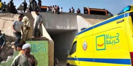مصر.. مصرع 14 شخصًا وإصابة آخرين في حادث مروّع على الطريق الإقليمي