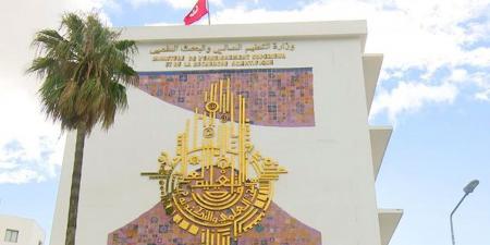 دورة المتفوقين في بكالوريا 2025: تخصيص 35 منحة بالجامعات الفرنسية والالمانية و120 منحة بالمعهد التحضيري للدراسات العلمية والتقنية