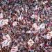 عمر جابر: جمهور الزمالك يستحق لقب كأس مصر