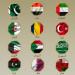 20 دولة عربية وإسلامية يصدرون بيانا مشتركا لإدانة الهجوم الإسرائيلي على إيران