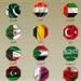 بيان مشترك لـ20 وزير خارجية عربي وإسلامي: ندين العدوان الإسرائيلي على إيران