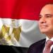 نواب: الرئيس السيسي يقود الدولة بحكمة في مواجهة التحديات وتحقيق التنمية