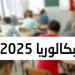 بكالوريا 2025: نجاح 74 تلميذا من مكفولي الدولة بالمراكز المندمجة للشباب والطفولة ومركبّات الطفولة بمختلف ولايات الجمهوريّة
