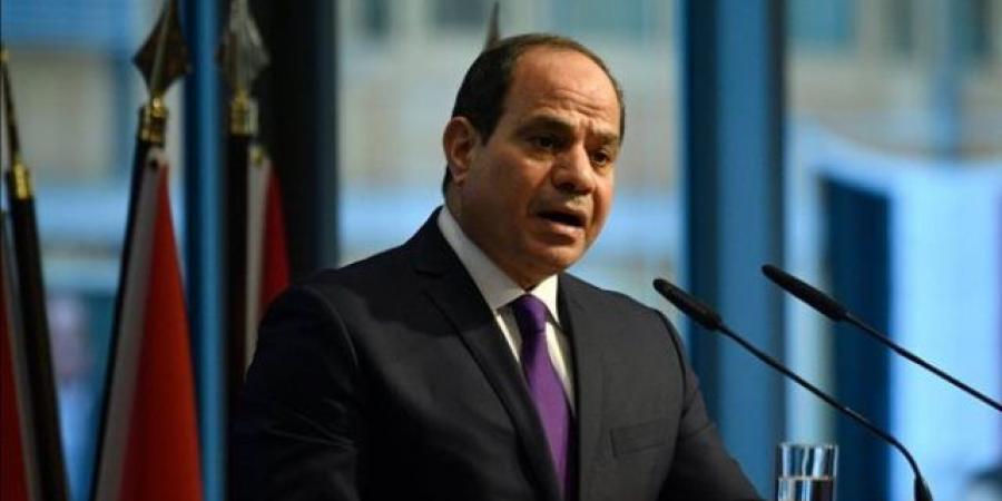 السيسي يستعرض الجهود المصرية المستمرة لوقف إطلاق النار في غزة وإدخال المساعدات الإنسانية
