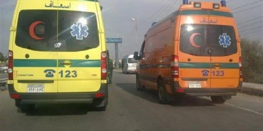 دماء على الأسفلت.. تحقيقات موسعة في مصرع 3 أشخاص جراء حادث طريق الواحات الصحراوي