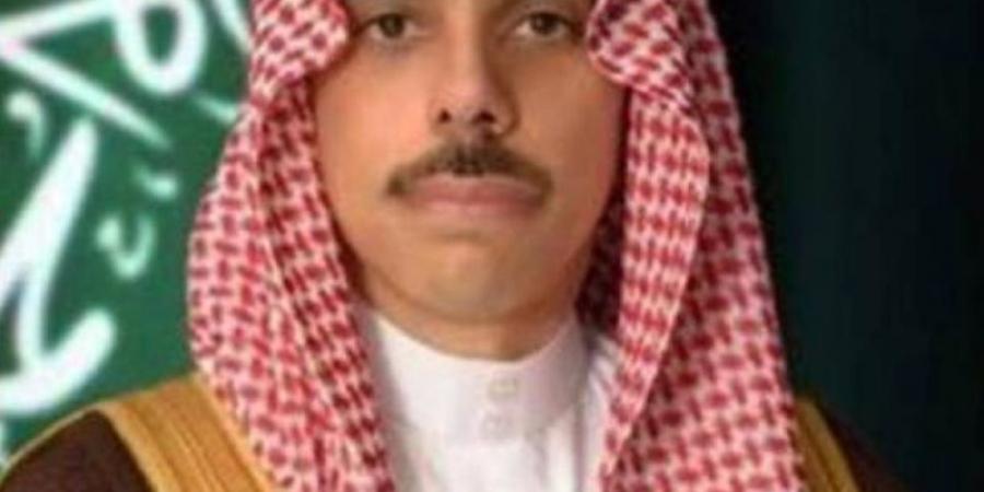 وزير الخارجية ونظيره الألماني يبحثان العلاقات الثنائية (هاتفيًا)