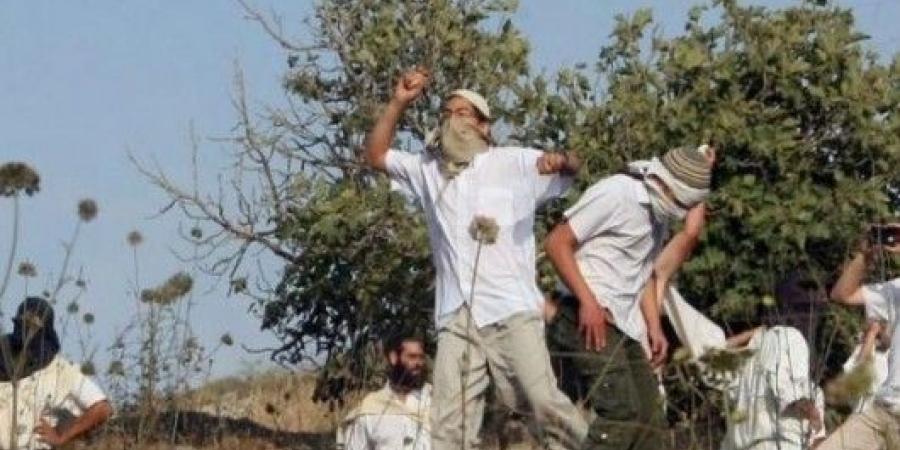 جريح فلسطيني باعتداء للمستوطين الصهاينة في “مسافر يطا” بالضفة المحتلة