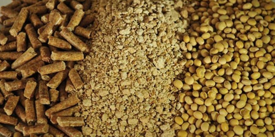 تمويل موسم حصاد الأعلاف
