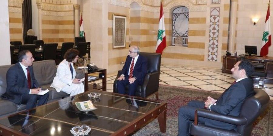 الصادق التقى سلام: ملف السلاح هو موضوع جوهري يؤثر بشكل كامل على تقدم لبنان
