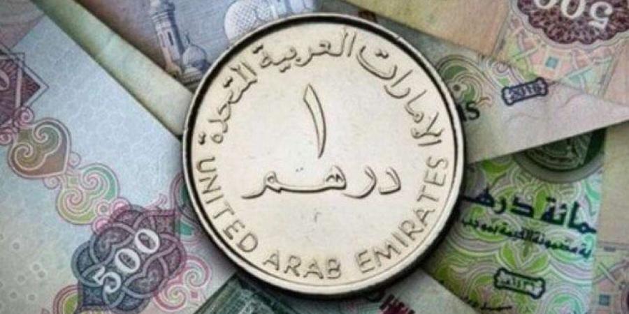 سعر الدرهم الإماراتي مقابل الجنيه المصري اليوم الأربعاء 11 يونيو 2025