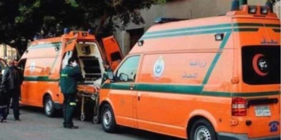 إصابة 3 أشخاص بحالة تسمم إثر تناولهم مقرمشات فاسدة في المنوفية