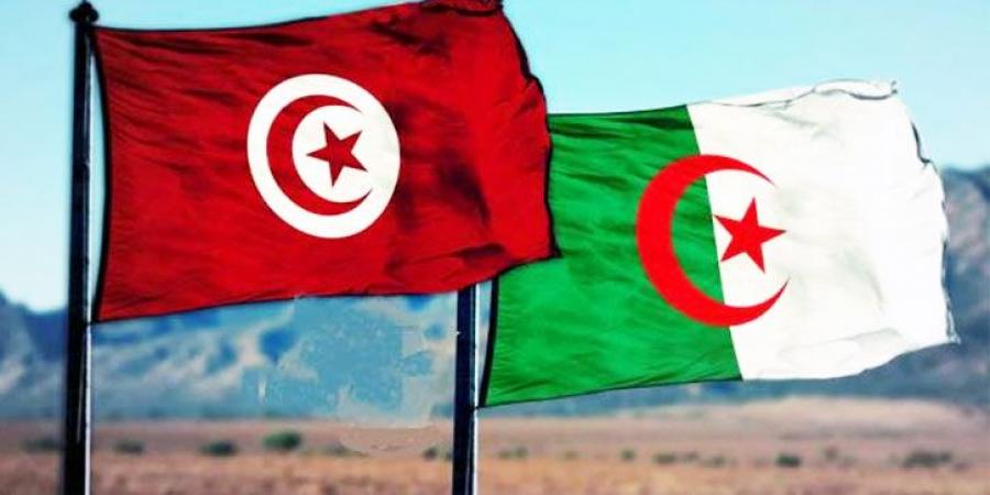 دعوة إلى تكثيف الجهود العمومية لتعزيز إمكانات تونس التصديرية في السوق الجزائرية