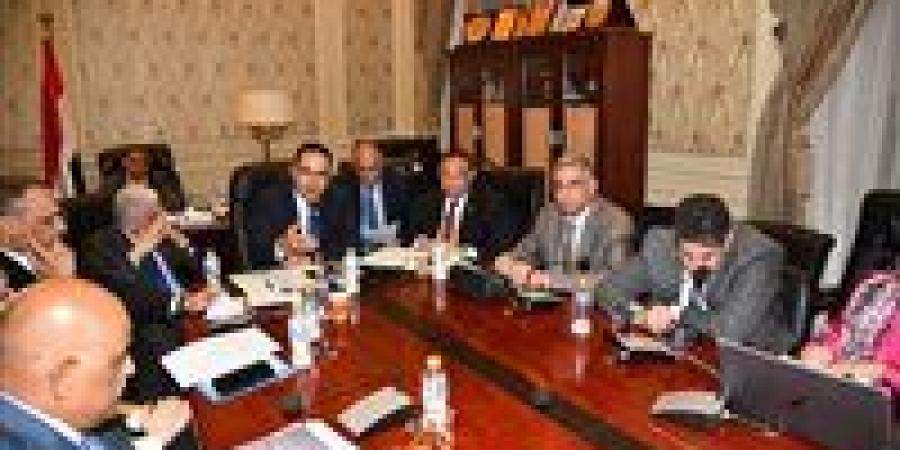 وزارة الشباب للنواب: نضع محافظات الصعيد على رأس أولوياتنا.. ومطالب بسرعة إنشاء استاد نجع حمادي