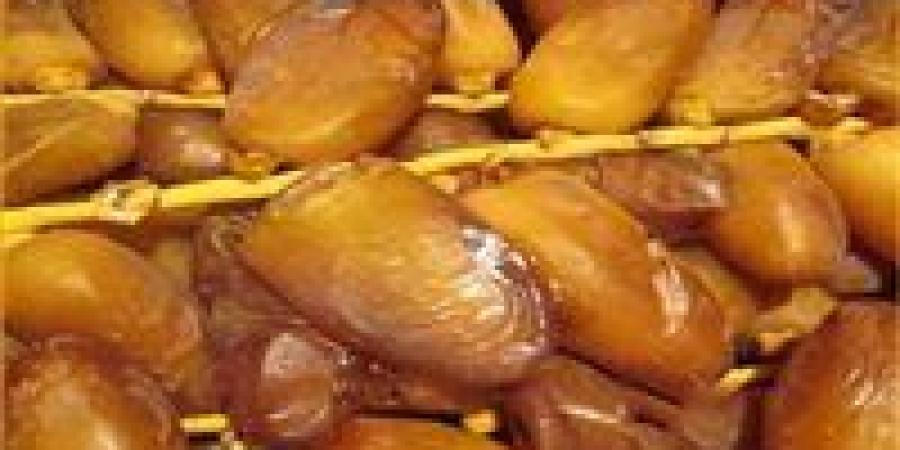 إنتاج أكثر من 1.8 مليون طن.. أسباب زيادة حجم الصادرات المصرية من التمور والصدارة العالمية