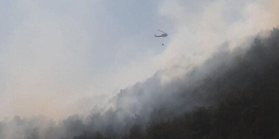 الجيش: إخماد حريقَين في منطقتَي بمهريه – عاليه ودير المخلّص – الشوف