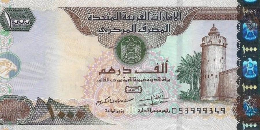 سعر الدرهم الإماراتي مقابل الجنيه المصري اليوم الخميس 19-6-2025
