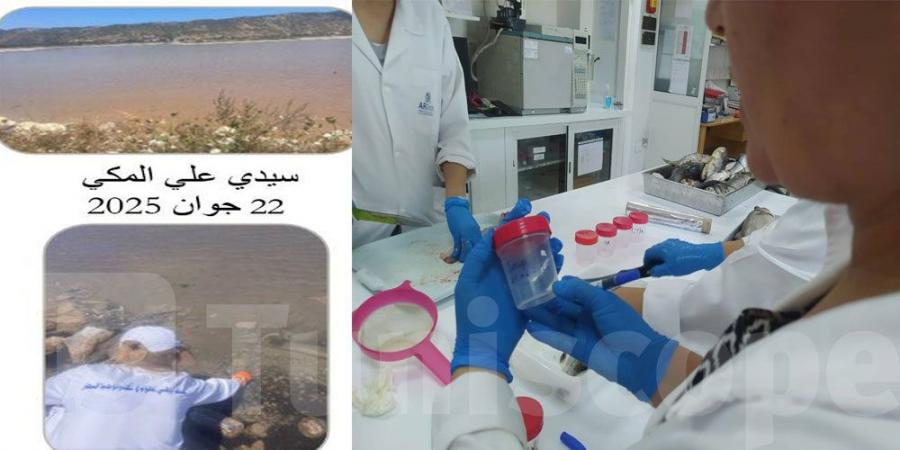 تكاثر الطحالب بسيدي علي المكي وتغير لون مياه البحر بغار الملح: الأسباب