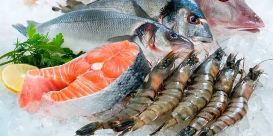 أسعار السمك في مصر تحلق عاليًا اليوم 24 يونيو2025.. البلطي والمأكولات البحرية تشتعل