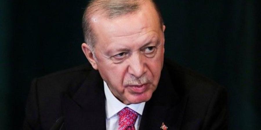 إردوغان رحب خلال محادثات مع ترامب بالهدنة بين إسرائيل وإيران ودعا إلى "حوار وثيق" بشأن روسيا وأوكرانيا