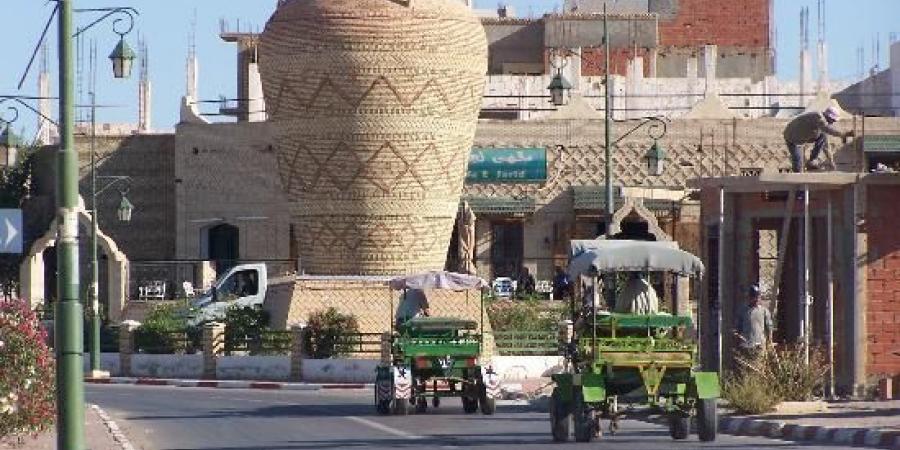 توزر: دعوات إلى مزيد تبسيط إجراءات الانخراط في نظام المبادر الذاتي وإلى تنظيم أيام إعلامية محليّة للتعريف به