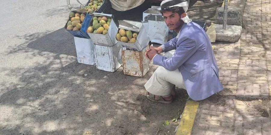 هل تذكرون ‘‘بائع البلس’’ الذي تعرض للسخرية من قبل ممثل حوثي؟ شاهدوا ما فعلت به المليشيات اليوم