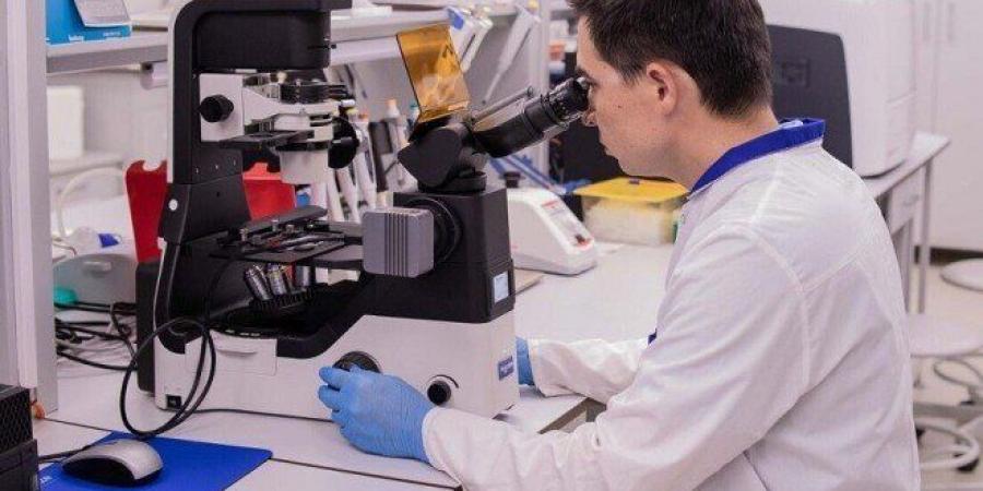 اكتشاف علمي مذهل.. مركب مستخلص من فطر سام في المقابر يقضي على خلايا سرطان الدم