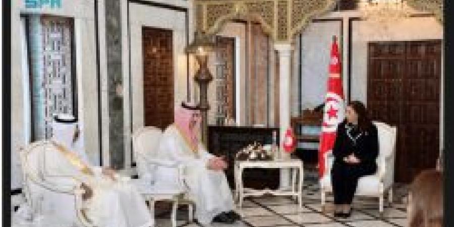 رئيسة الحكومة ووزير الصحة بتونس يستقبلان الرئيس التنفيذي للصندوق السعودي للتنمية