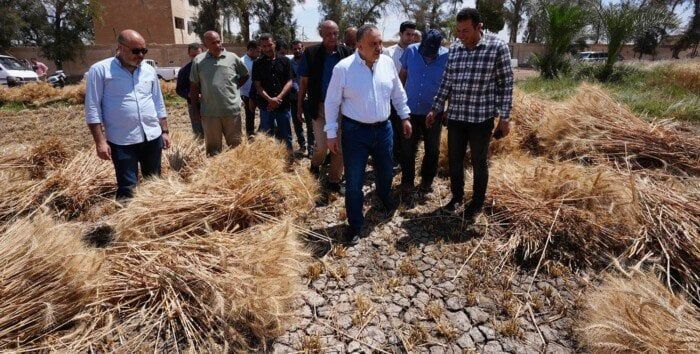 توريد أكثر من 46 ألف طن قمح بأسيوط وتيسيرات كبيرة للمزارعين لدعم الأمن الغذائي