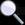 229b101c5a.jpg