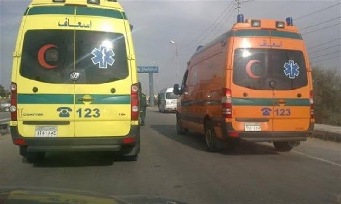 مصرع موظف صدمته مُعدة خلال حملة لإزالة التعديات في وادي عبادي بأسوان