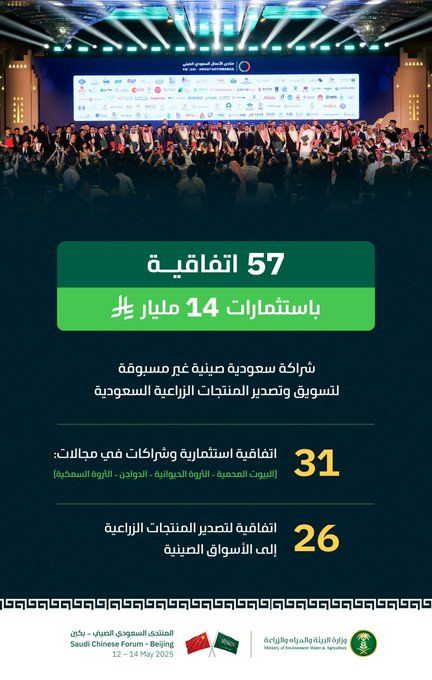 الصورة