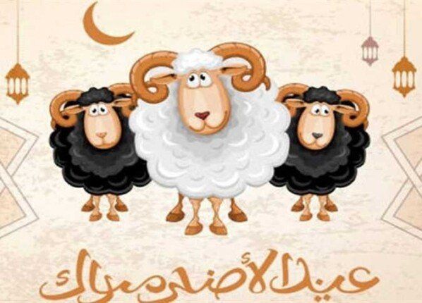 موعد وقفة عرفات 2025
